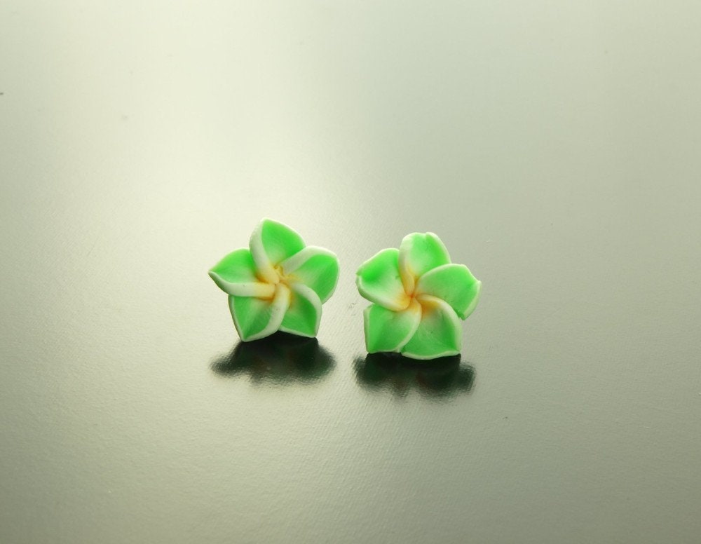 Ohrstecker Frangipani Blüte Blume Ohrringe grün