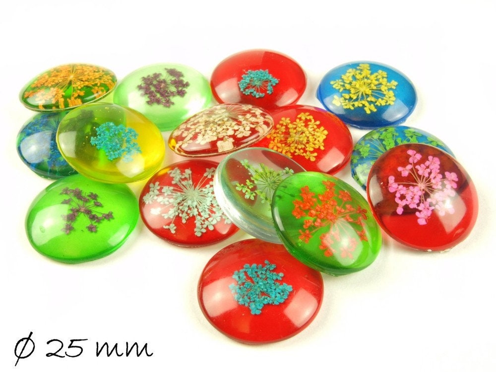 5 Stück runde Glas Cabochons mit Dillblüte Ø 25 mm