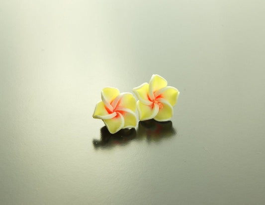 Ohrstecker Frangipani Blüte Blume Ohrringe gelb