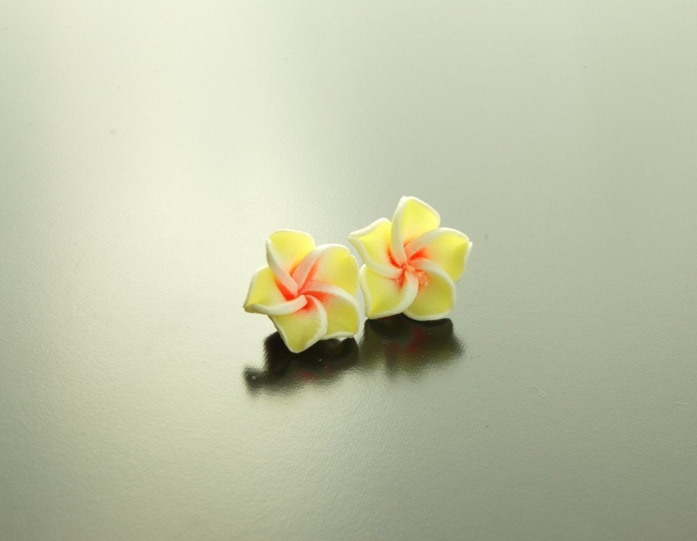Ohrstecker Frangipani Blüte Blume Ohrringe gelb