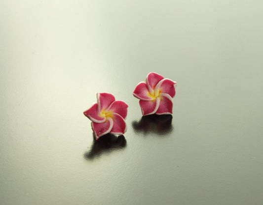 Ohrstecker Frangipani Blüte Blume Ohrringe pink