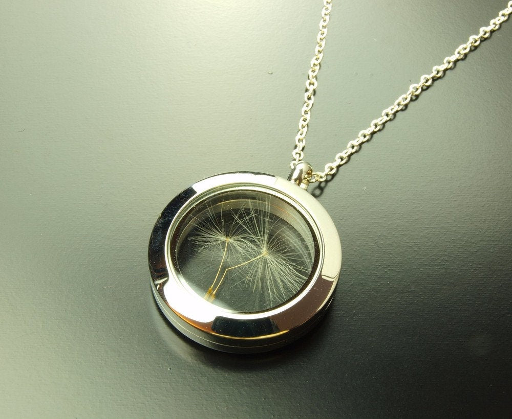 Echte Pusteblumen Kette Medaillon Anhänger silber