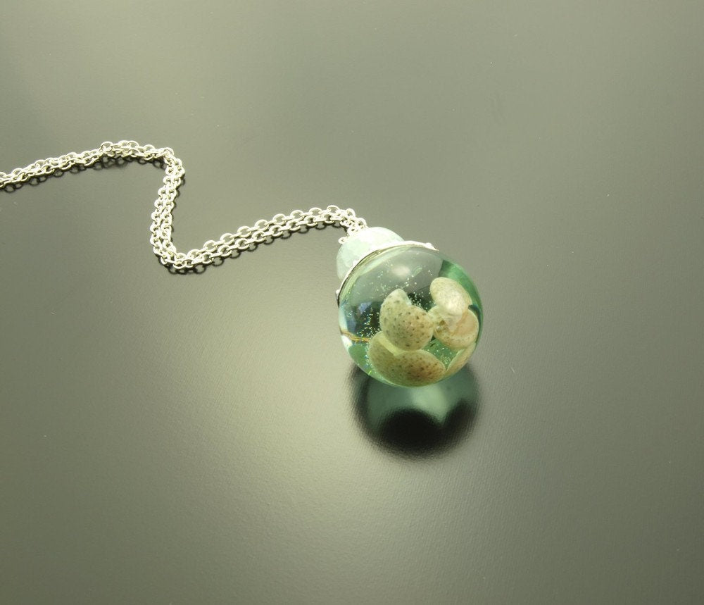 Echte Muscheln in Giessharz Kette silber Edelstein