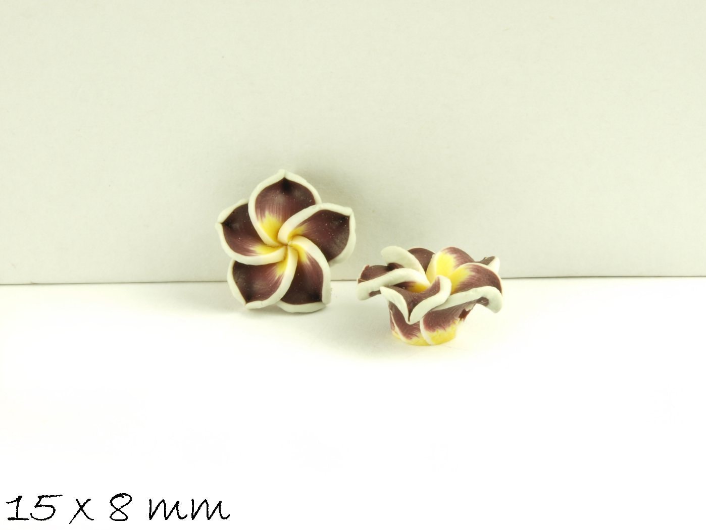 4 Stück Frangipani Blüten, Fimo Clay, braun-weiß 15 x 9 mm