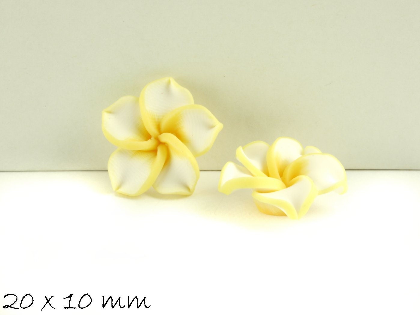 4 Stück Frangipani Blüten Fimo Clay gelb-weiß 20 x 9 mm