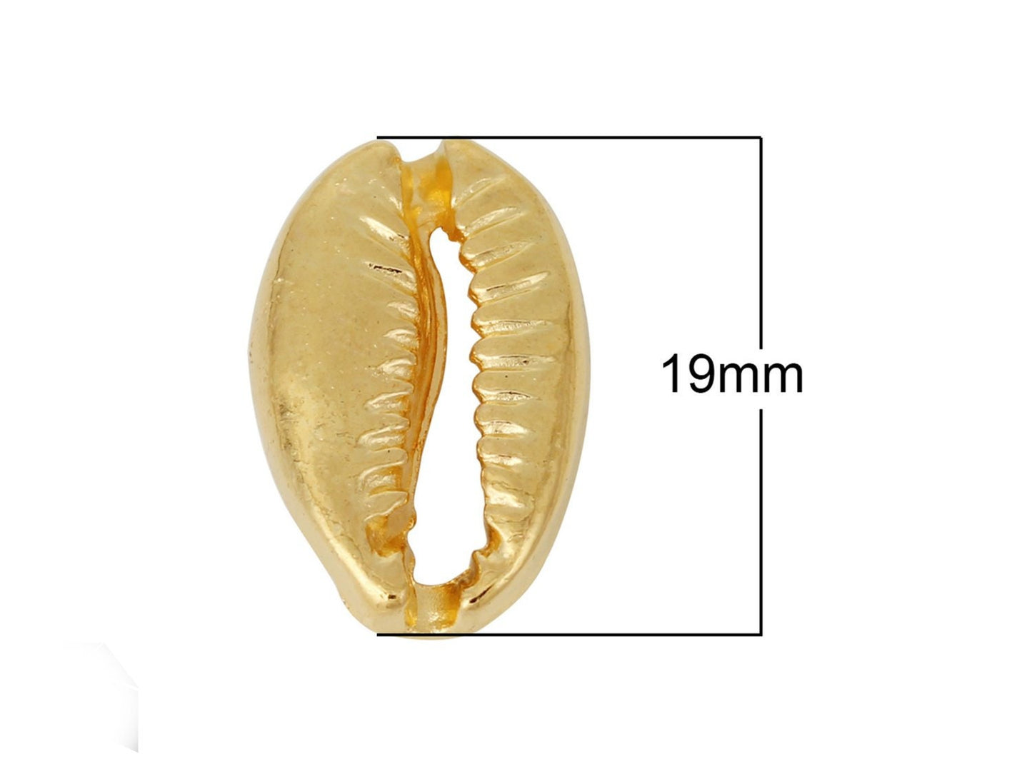 10 Stück Anhänger Kauri Muschel 19 x 12 mm in gold