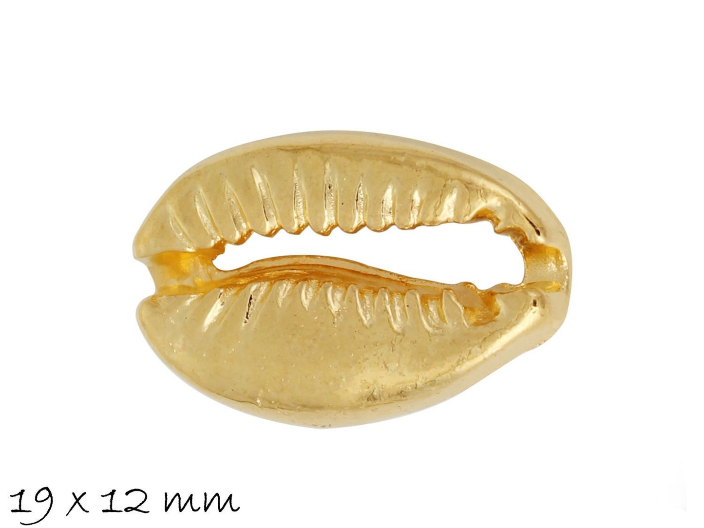 10 Stück Anhänger Kauri Muschel 19 x 12 mm in gold