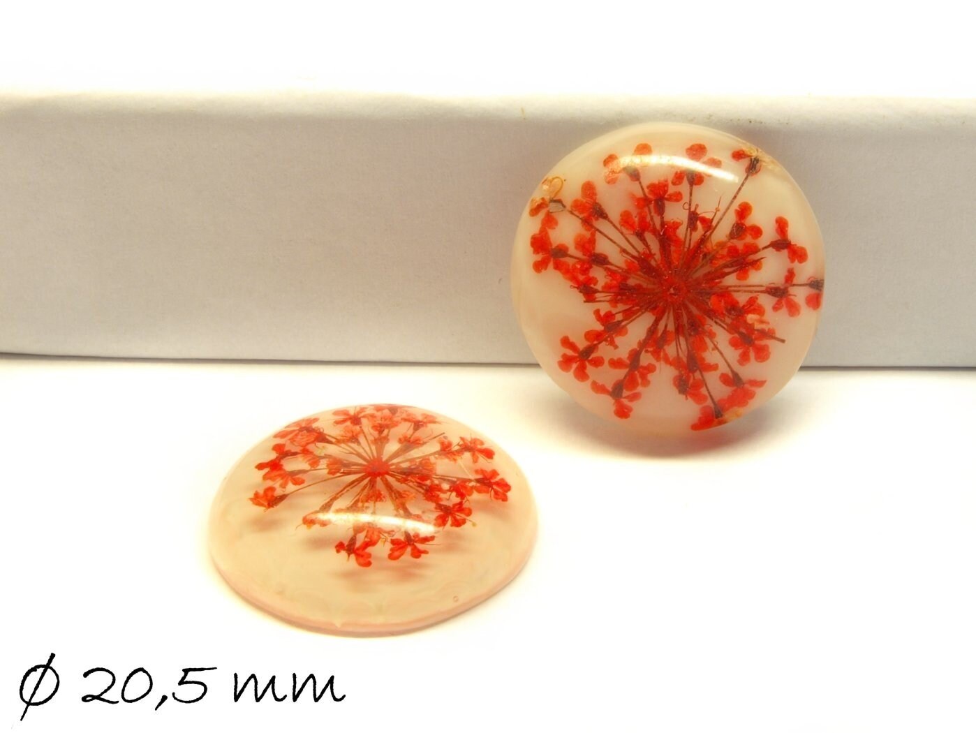 2 Stück Echte Blüten Resin Cabochons Ø 20,5 mm weiß rot