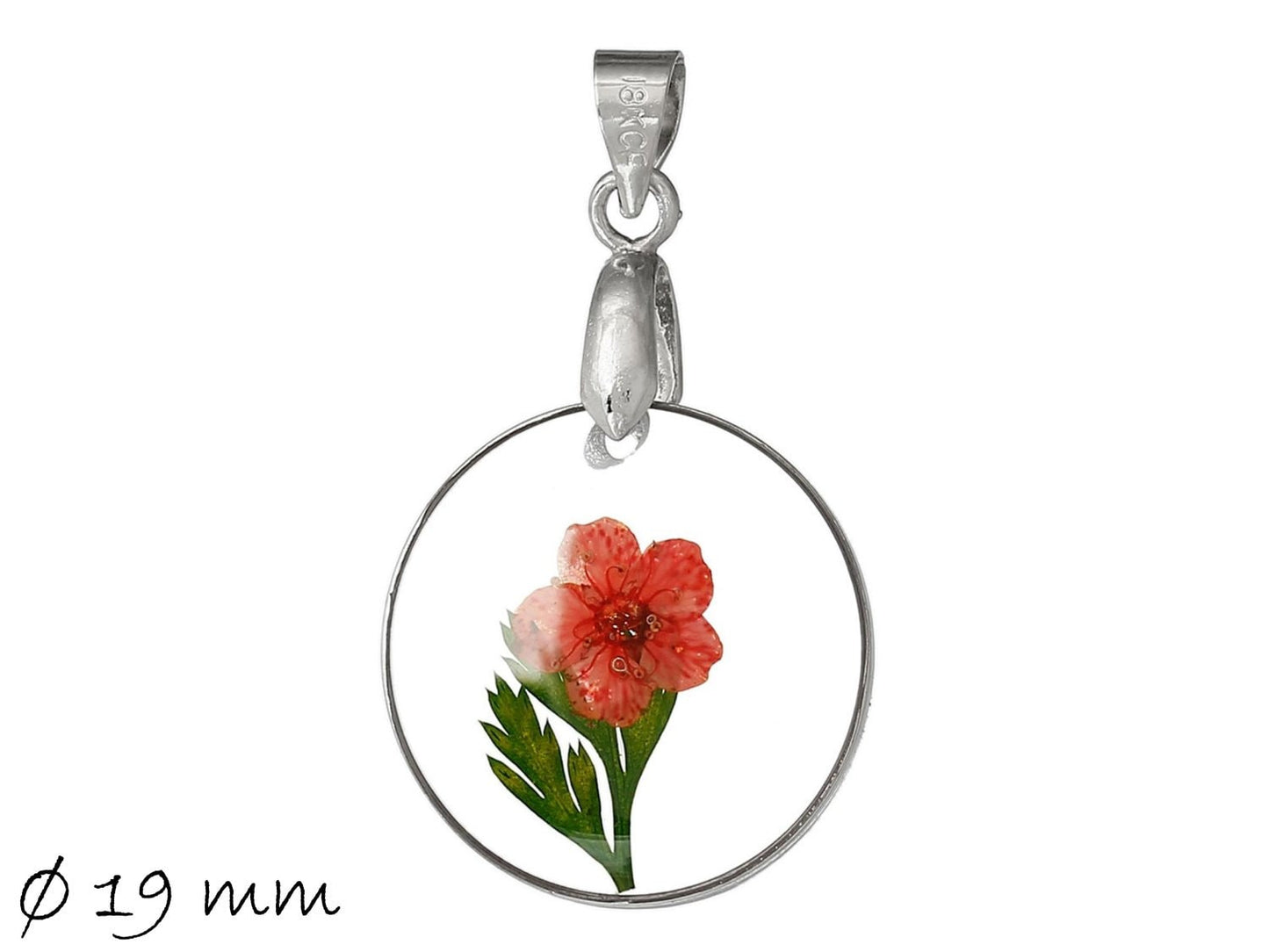 1 Stück Anhänger mit echter roter Blüte - Ø 19 mm