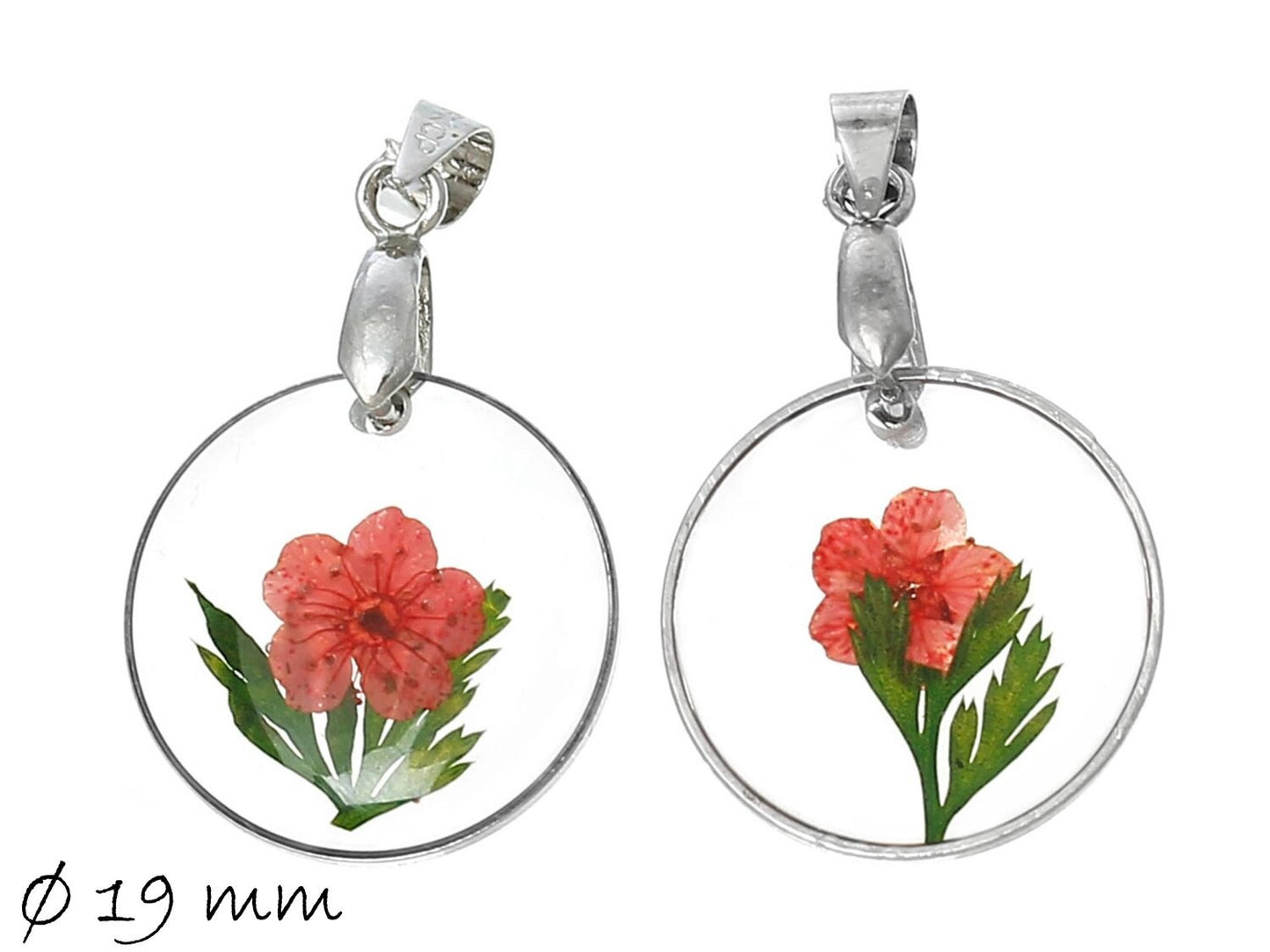 1 Stück Anhänger mit echter roter Blüte - Ø 19 mm
