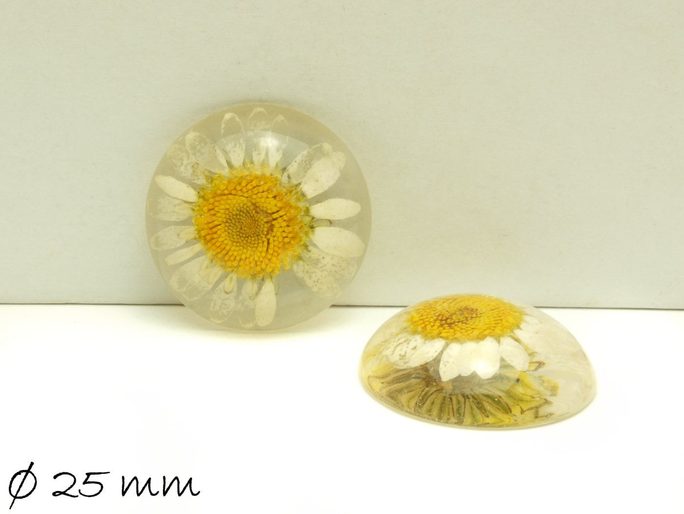 1 Stück Echte Blüten Resin Cabochon Ø 25 mm weiß gelb