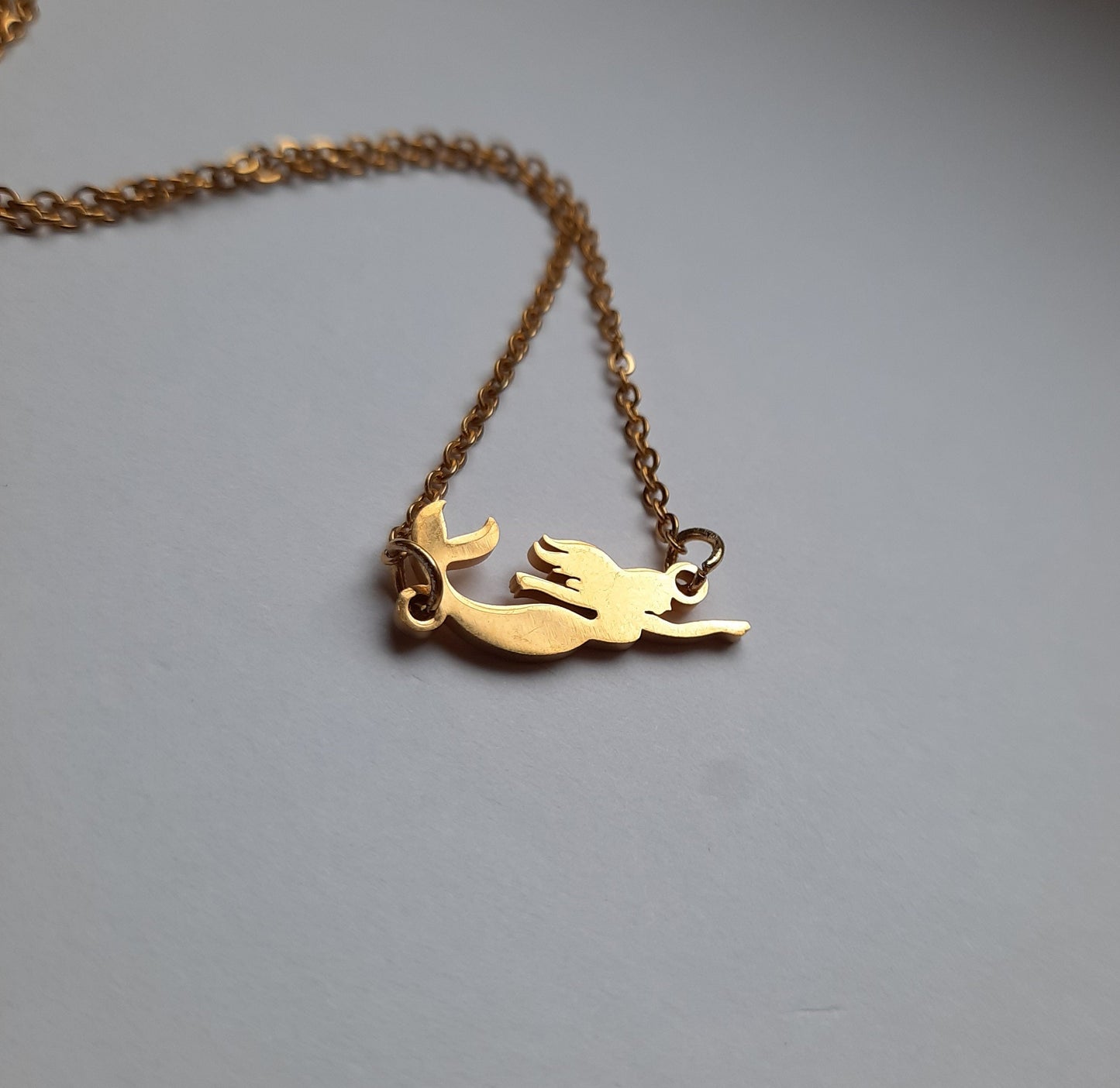 Kette Meerjungfrau Nixe Edelstahl Anhänger Meer Frau Wasser Strand Farbe nach Wahl silbern golden