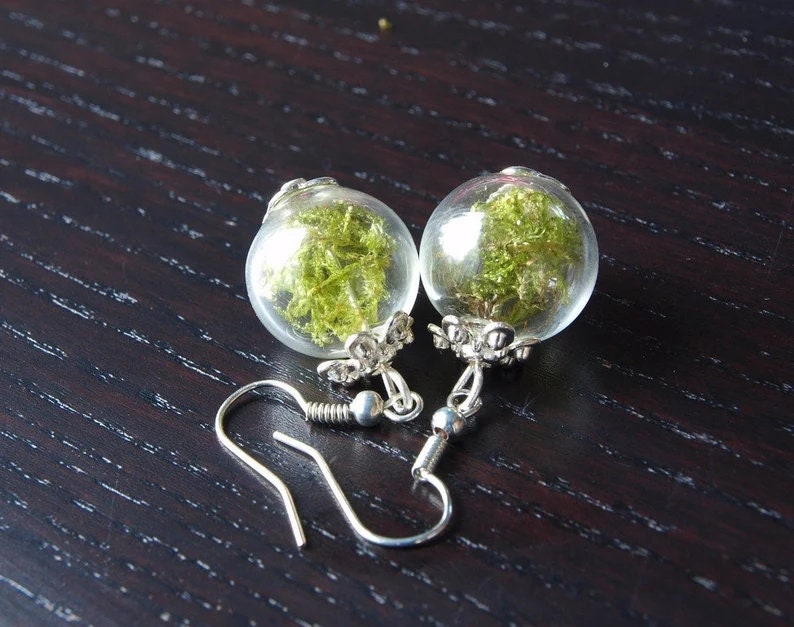 Ohrhänger nach Wahl echte getrocknete Blüte blau gün Ohrringe