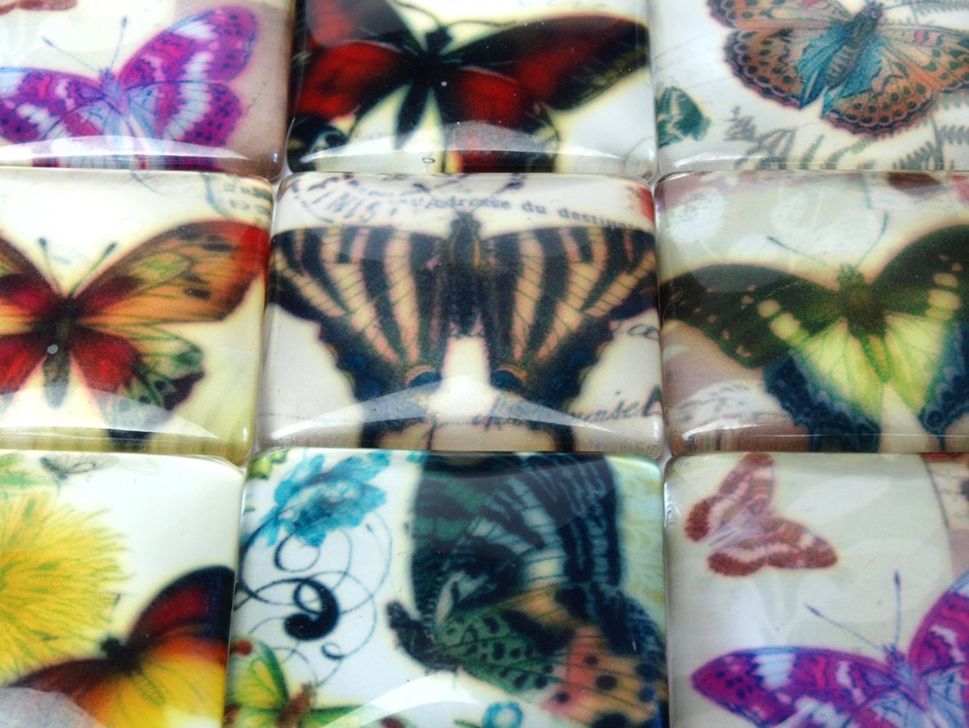 2 Stück Beklebte Glas Cabochons, Schmetterlinge, 25 x 25 mm