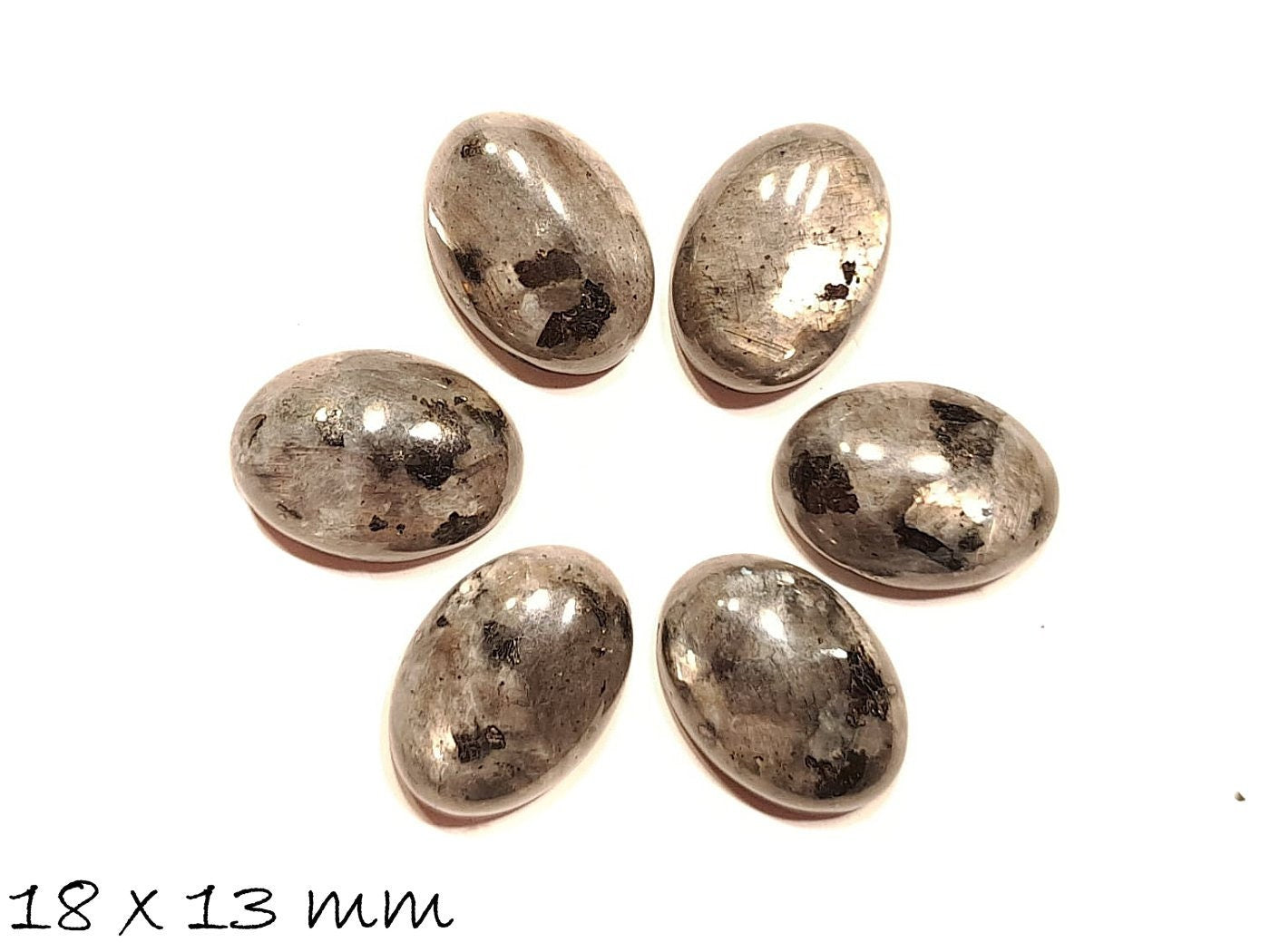 2 Stück Edelstein Cabochons Larvikit, 18 x 13 mm