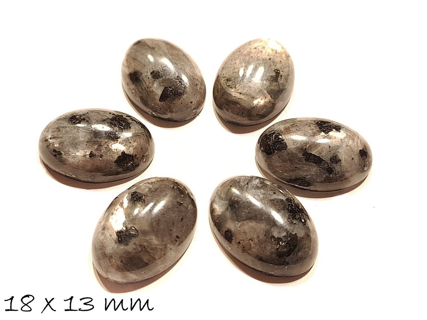 2 Stück Edelstein Cabochons Larvikit, 18 x 13 mm
