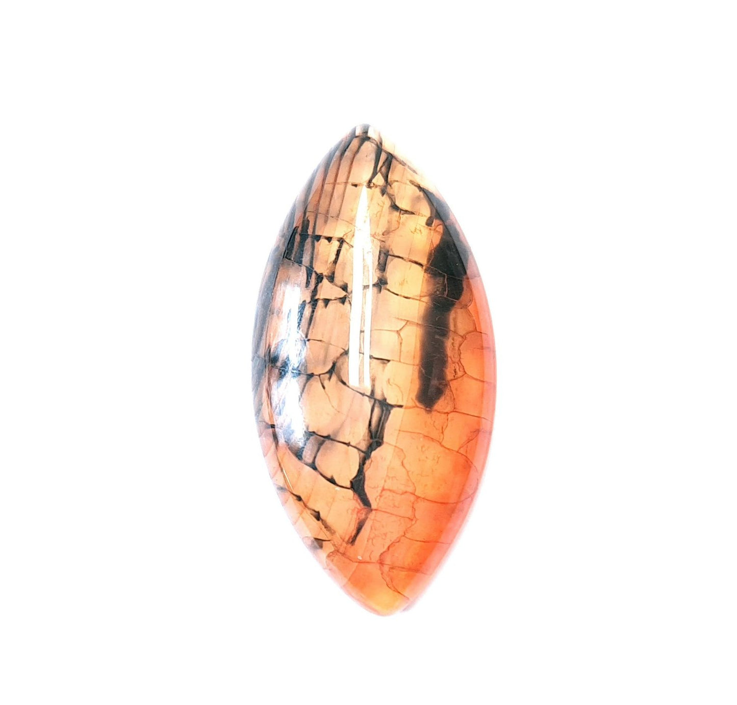 Edelstein Cabochons, Achat, orange-schwarz, Drachenauge, Pferdeauge, 39 x 20 mm