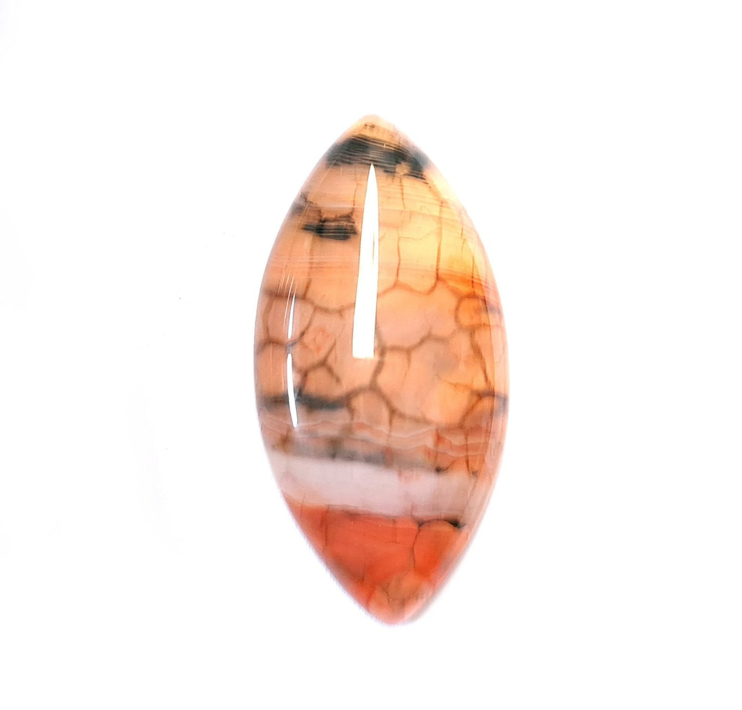 Edelstein Cabochons, Achat, orange-schwarz, Drachenauge, Pferdeauge, 39 x 20 mm