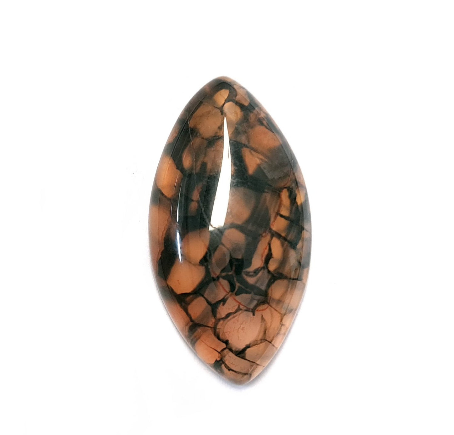 Edelstein Cabochons, Achat, orange-schwarz, Drachenauge, Pferdeauge, 39 x 20 mm