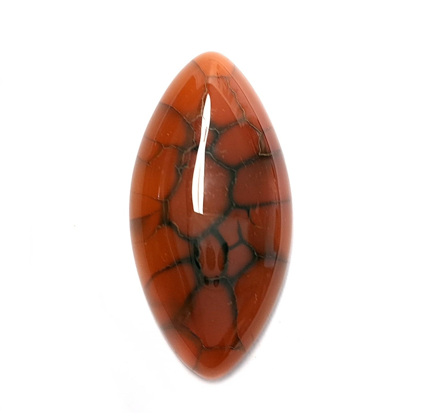 Edelstein Cabochons, Achat, orange-schwarz, Drachenauge, Pferdeauge, 39 x 20 mm