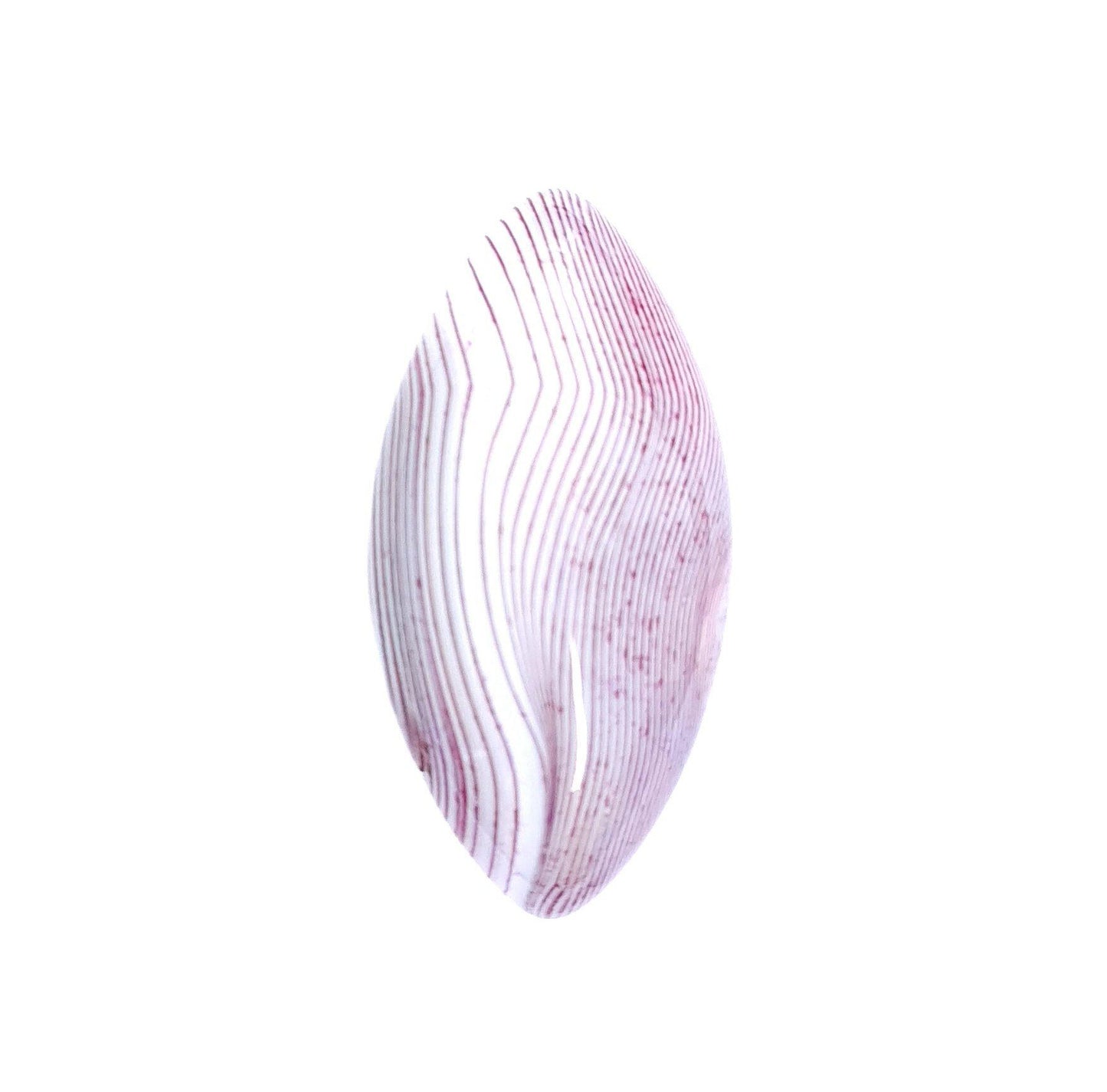 1 Stück Edelstein Cabochons, Achat, pink-weiß-grün, Pferdeauge, 39 x 20 mm