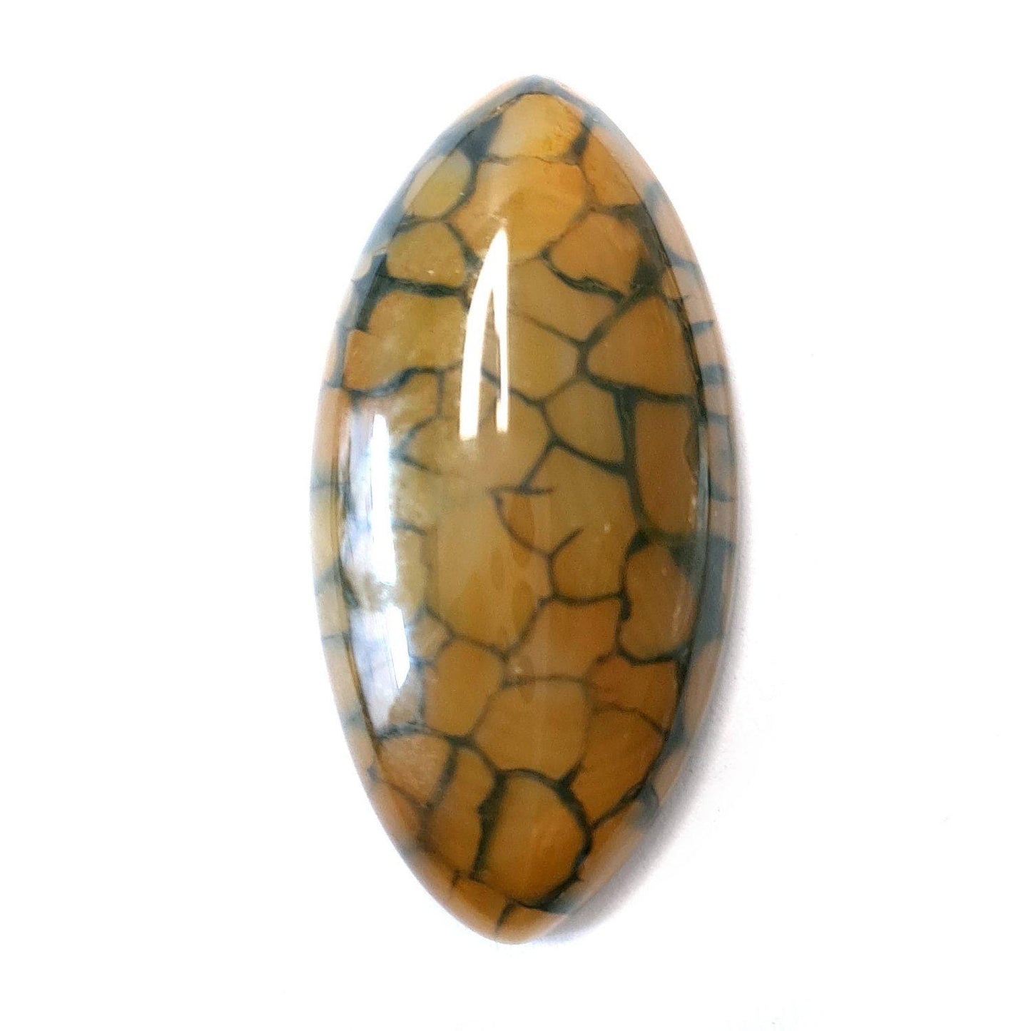 Edelstein Cabochons, gelber Achat, Drachenauge, Pferdeauge, 39 x 20 mm