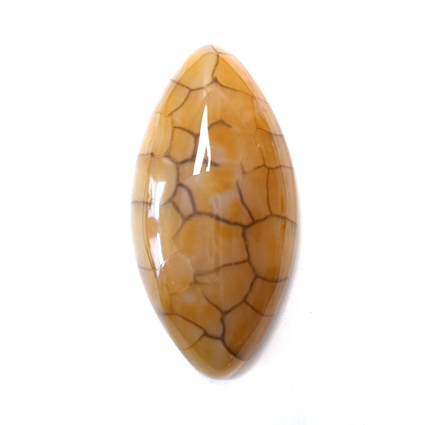 Edelstein Cabochons, gelber Achat, Drachenauge, Pferdeauge, 39 x 20 mm