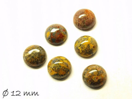 2 Stück Cabochons, Leopard Skin Jaspis, 12 mm