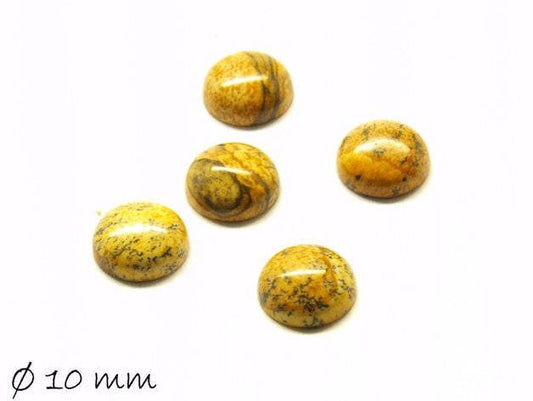 2 Stück Edelstein Cabochons, Picture Jasper, 10 mm Jaspis
