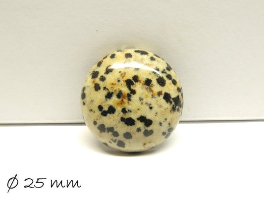 1 Stück Cabochons, Dalmatiner Jaspis (Jasper), 25 mm