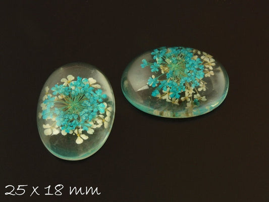 1 Stück echte Blüten Resin Cabochon 25 x18 mm türkis