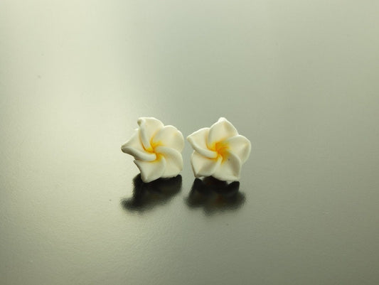 Ohrstecker Frangipani Blüte Blume Ohrringe weiß