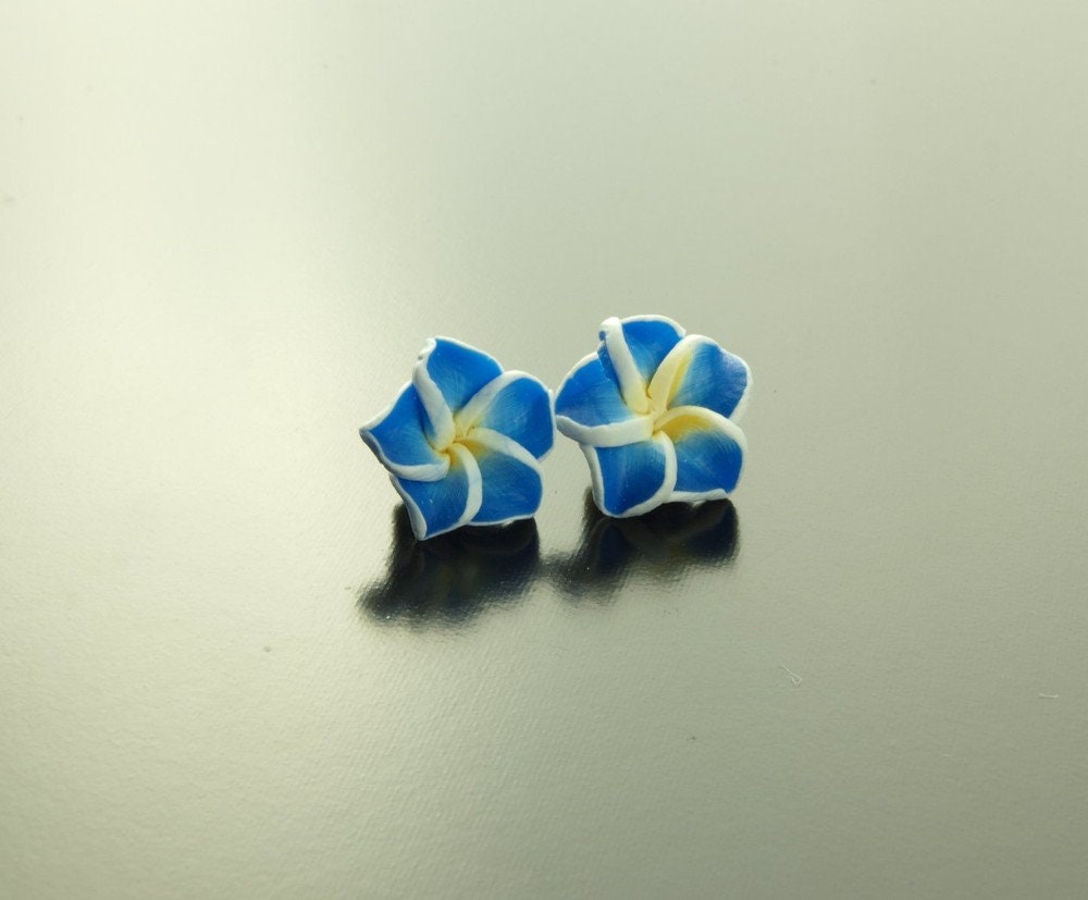 Ohrstecker Frangipani Blüte Blume Ohrringe blau