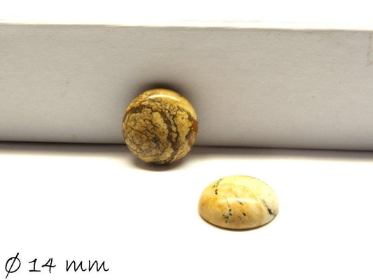2 Stück Edelstein Cabochons, Picture Jasper, Stein, 14 mm