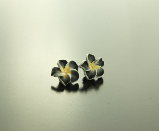 Ohrstecker Frangipani Blüte Blume Ohrringe schwarz