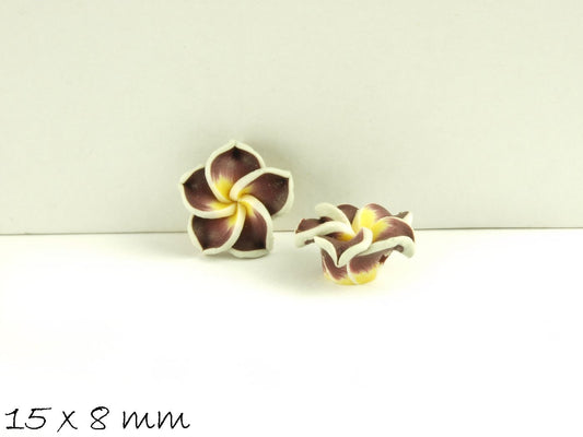 4 Stück Frangipani Blüten, Fimo Clay, braun-weiß 15 x 9 mm