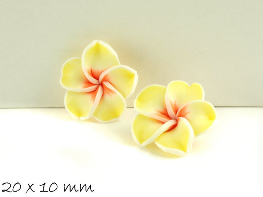 4 Stück Frangipani Blüten Fimo Clay gelb-weiß-orange 20 x 9 mm