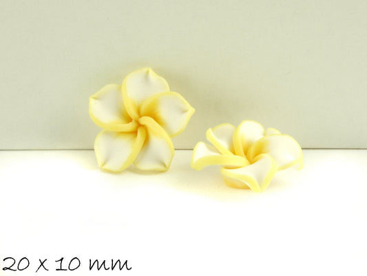 4 Stück Frangipani Blüten Fimo Clay gelb-weiß 20 x 9 mm