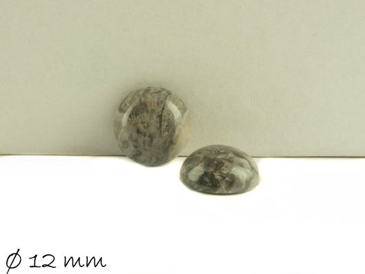 2 Stück Cabochons, grauer Jasper, 12 mm