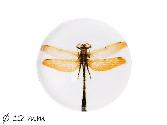 10 Stück Stück runde Glascabochons mit Libellen-Motiv Ø 12 mm