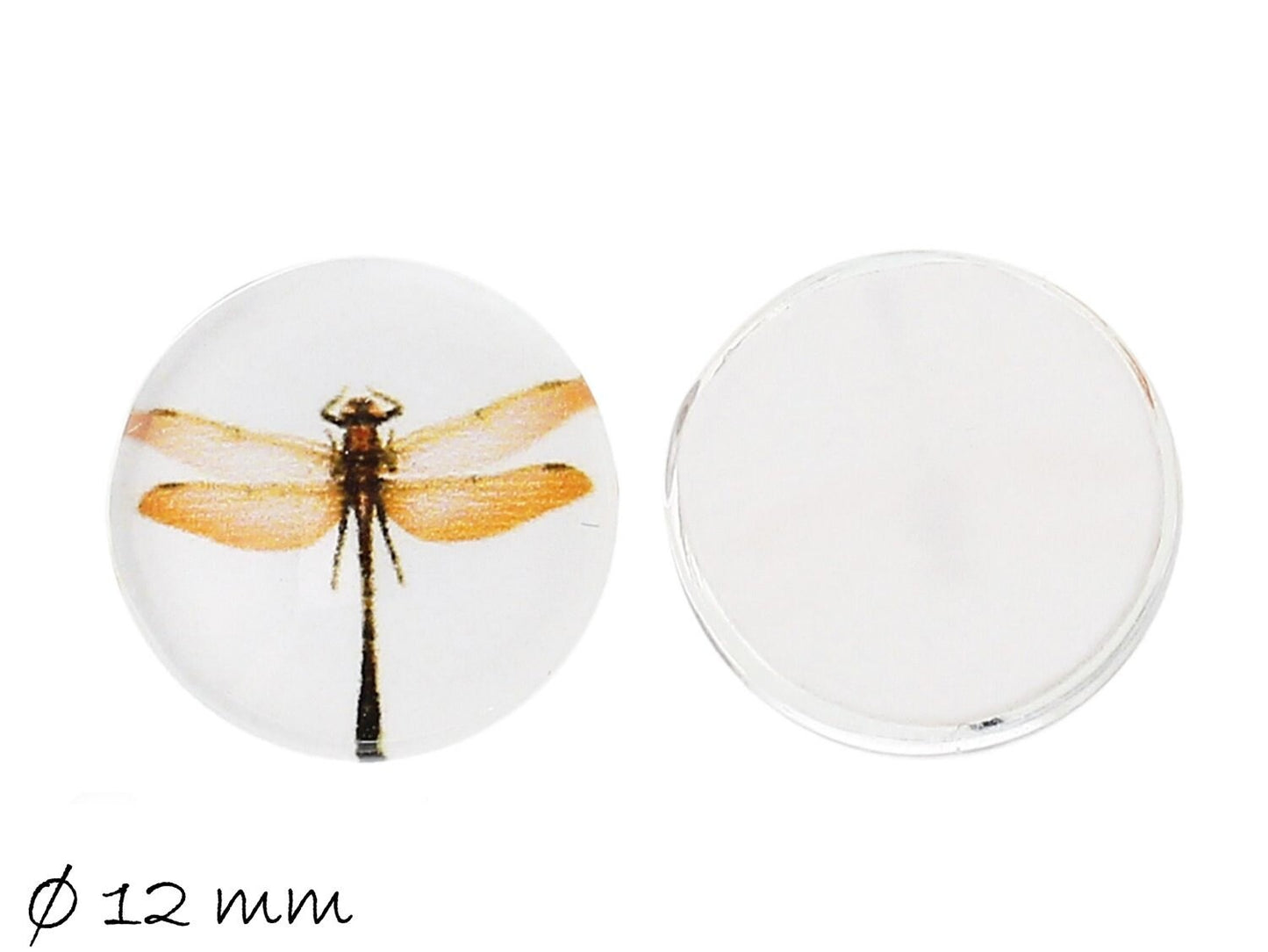 10 Stück Stück runde Glascabochons mit Libellen-Motiv Ø 12 mm