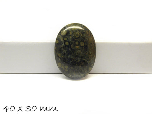 1 Stück Edelstein Cabochon Kambaba Jasper 40 x 30 mm