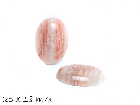 1 Stück ovaler Edelstein-Cabochon, versteinertes Holz, 25 x 18 mm