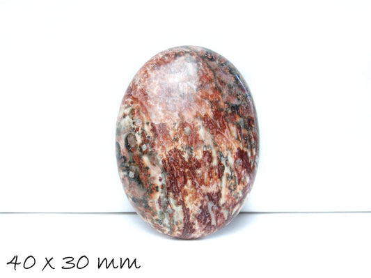 1 Stück Cabochon Leopard Skin Jaspis, 40 x 30 mm